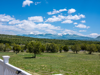 Magnificent views from horse ranch in Mancos, CO - image 8