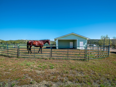 Magnificent views from horse ranch in Mancos, CO - image 46