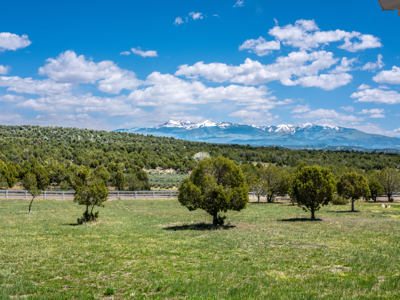 Magnificent views from horse ranch in Mancos, CO - image 26