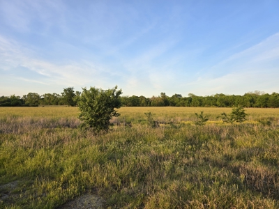 Rural Country Home overlooking 160 Acres Auction - image 9