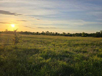 Rural Country Home overlooking 160 Acres Auction - image 6