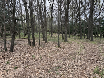 88 Acre Marquette County WI Hunting Property For Sale - image 4