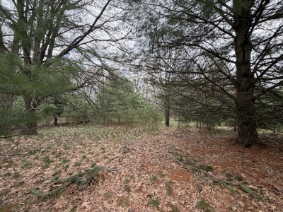 88 Acre Marquette County WI Hunting Property For Sale - image 49