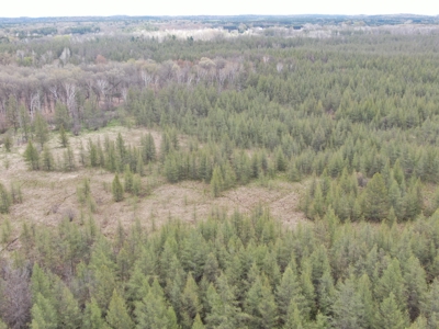88 Acre Marquette County WI Hunting Property For Sale - image 22