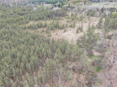 88 Acre Marquette County WI Hunting Property For Sale - image 44