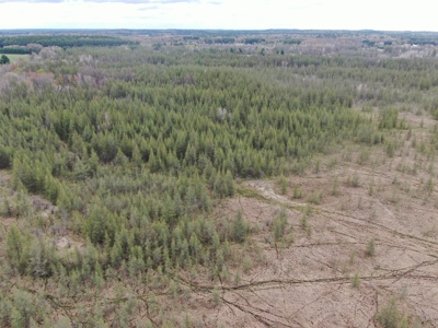 88 Acre Marquette County WI Hunting Property For Sale - image 23