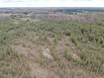 88 Acre Marquette County WI Hunting Property For Sale - image 24