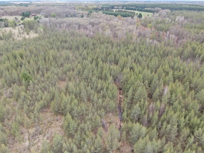 88 Acre Marquette County WI Hunting Property For Sale - image 41