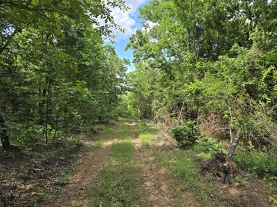 Country Home Site and Recreational Property - For Sale - image 40