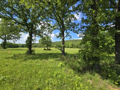 Country Home Site and Recreational Property - For Sale - image 18