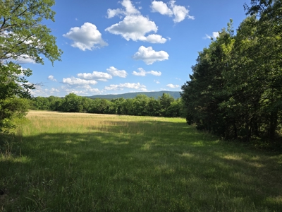 Country Home Site and Recreational Property - For Sale - image 3