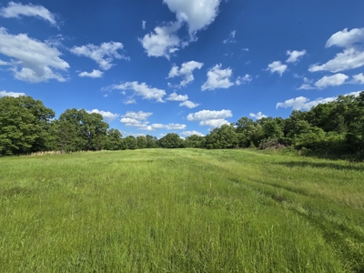 Country Home Site and Recreational Property - For Sale - image 5