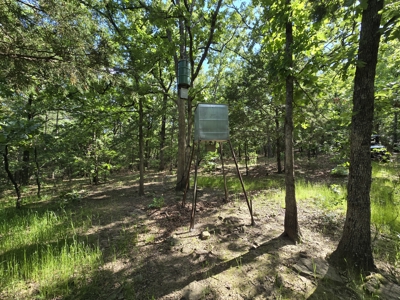 Country Home Site and Recreational Property - For Sale - image 15