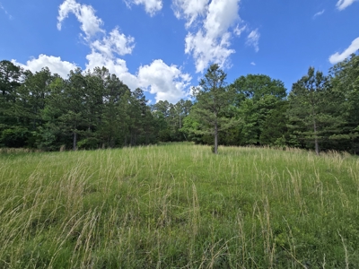 Country Home Site and Recreational Property - For Sale - image 9