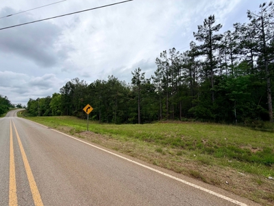 Build, Hunt, Recreate. Land For Sale Dumas, MS - image 13