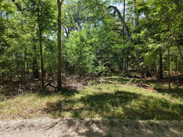 Listing 168