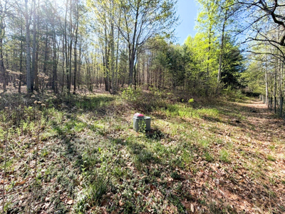 Sprawling 40 Acre Hobby Farm Just Minutes from Wytheville VA - image 17