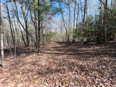 Sprawling 40 Acre Hobby Farm Just Minutes from Wytheville VA - image 25