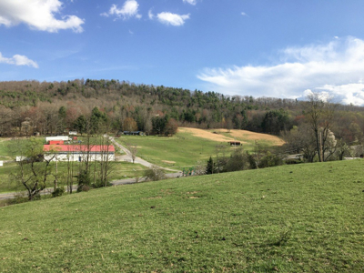Sprawling 40 Acre Hobby Farm Just Minutes from Wytheville VA - image 28