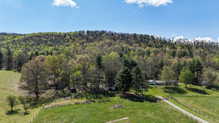 Sprawling 40 Acre Hobby Farm Just Minutes from Wytheville VA - image 20