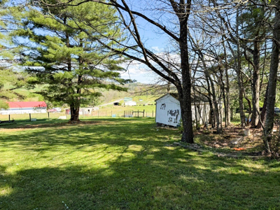 Sprawling 40 Acre Hobby Farm Just Minutes from Wytheville VA - image 19