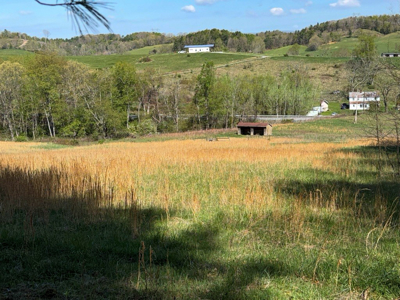 Sprawling 40 Acre Hobby Farm Just Minutes from Wytheville VA - image 16