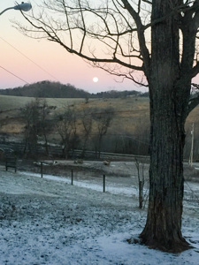 Sprawling 40 Acre Hobby Farm Just Minutes from Wytheville VA - image 32