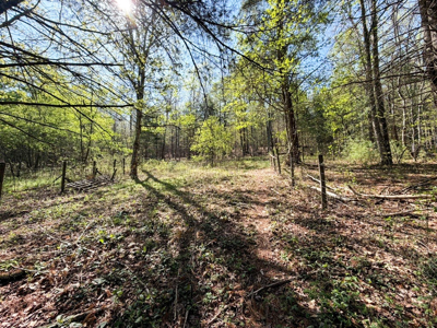 Sprawling 40 Acre Hobby Farm Just Minutes from Wytheville VA - image 23