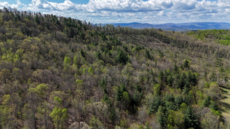 Sprawling 40 Acre Hobby Farm Just Minutes from Wytheville VA - image 21