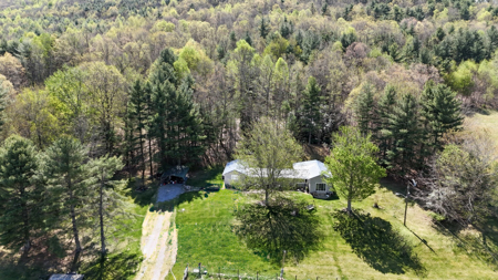 Sprawling 40 Acre Hobby Farm Just Minutes from Wytheville VA - image 4