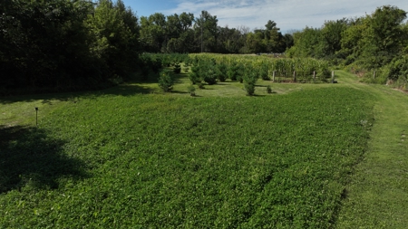 50-Acre Outdoor Investment Property in Monroe County | Fishing - image 16