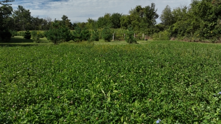 50-Acre Outdoor Investment Property in Monroe County | Fishing - image 17