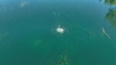 50-Acre Outdoor Investment Property in Monroe County | Fishing - image 19