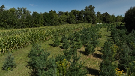 50-Acre Outdoor Investment Property in Monroe County | Fishing - image 6