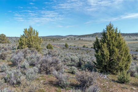 Eastern Oregon Juniper Butte Estate - image 38