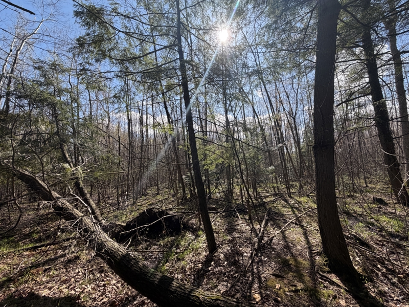 No Caption