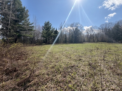 Portage County 40 Acre Hunting and Rec Property for Sale - image 9