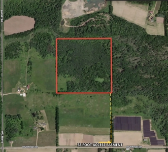 Portage County 40 Acre Hunting and Rec Property for Sale - image 2