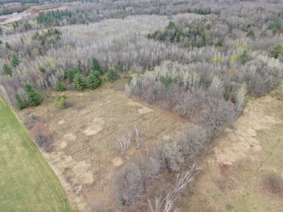 Portage County 40 Acre Hunting and Rec Property for Sale - image 19