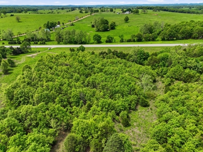 15 Acres Hwy 5 Frontage Near Bull Shoals Lake - image 12