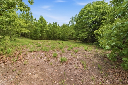15 Acres Hwy 5 Frontage Near Bull Shoals Lake - image 19