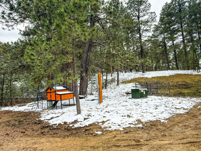 Custom-Built Home on 11 Acres | Lewistown, Montana - image 42