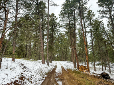 Custom-Built Home on 11 Acres | Lewistown, Montana - image 43