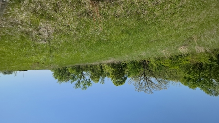 49 Acre Hunting Property With Hunting Cabin - image 16