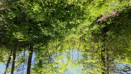 49 Acre Hunting Property With Hunting Cabin - image 11
