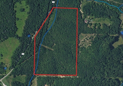 Beautiful vacant land located on V Highway in Ozark County - image 1
