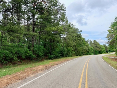Hunting and Recreational Land w/ a Building Site Tippah Co., MS - image 3