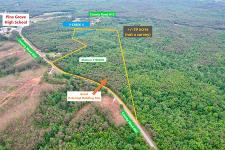 Hunting and Recreational Land w/ a Building Site Tippah Co., MS - image 1