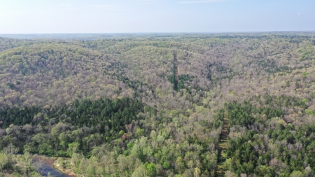 360 ± Acre Current River Estate for Sale in Dent County, MO - image 42