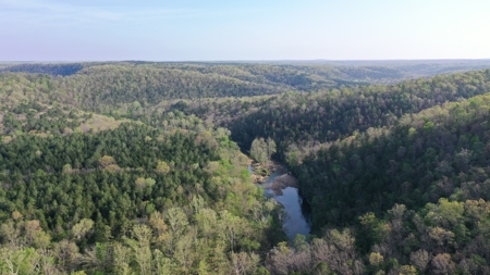 360 ± Acre Current River Estate for Sale in Dent County, MO - image 37